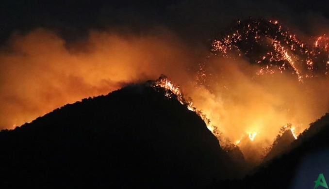 Kebakaran Gunung Ranti Banyuwangi, Jatim