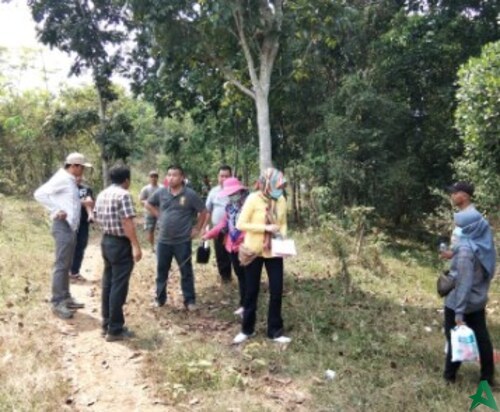 kasus penjualan tanah negara