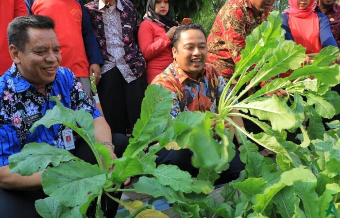 panen sayut di Nambo Jaya