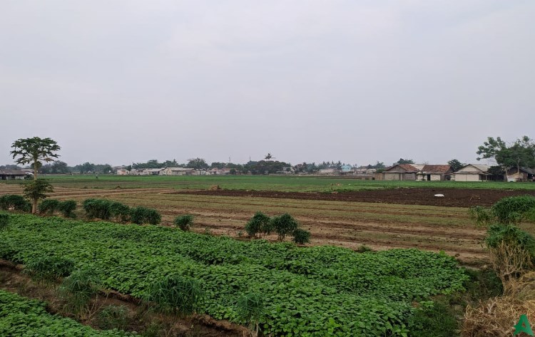Lahan Stadion Gelora Tangerang Ayo