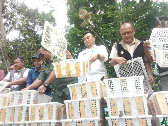 Ribuan Burung Langka Dilepas