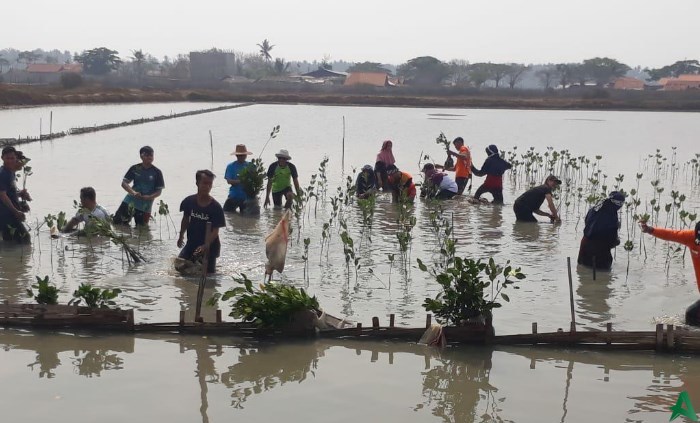 Taman Wisata Mangrove Ketapang