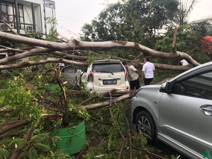 Hujan Disertai Angin Kencang, Pepohonan di KP3B Tumbang