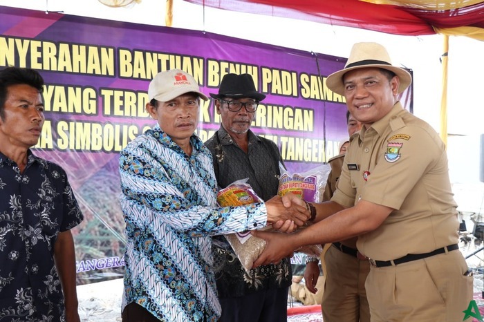 Gagal Panen, Petani Padi Dapat Bantuan Benih