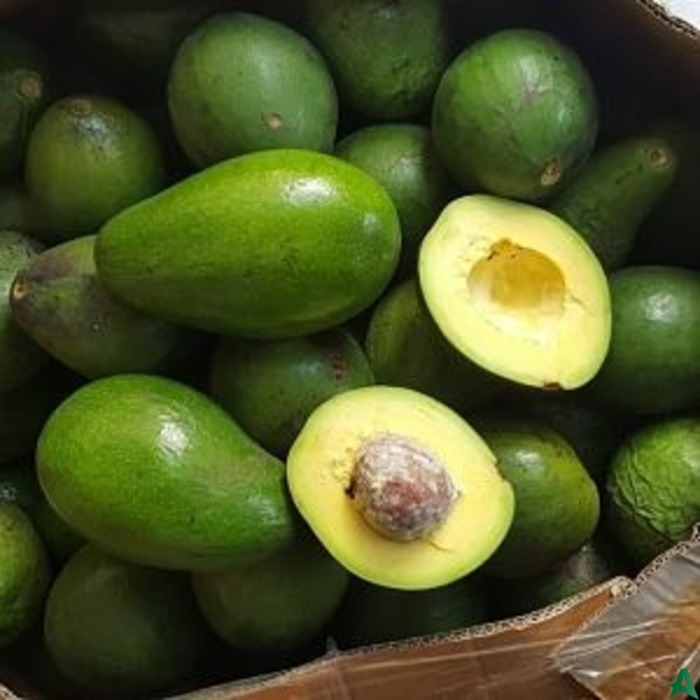 Cegah Obesitas di Usia Lanjut, Baiknya Konsumsi Alpukat