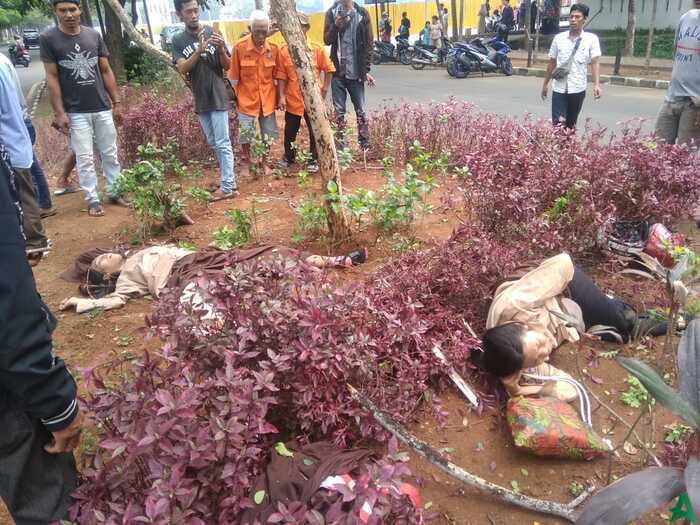 Tabrak Pohon, Pelajar Kabupaten Tangerang Tewas