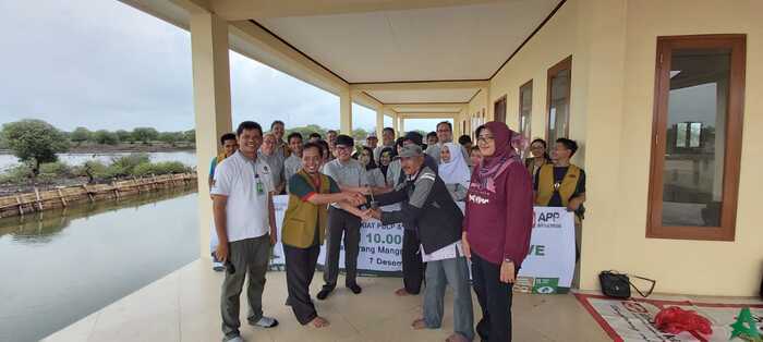 Ratusan Ribu Bibit Mangrove Ditanam di Kawasan Pesisir Tangerang