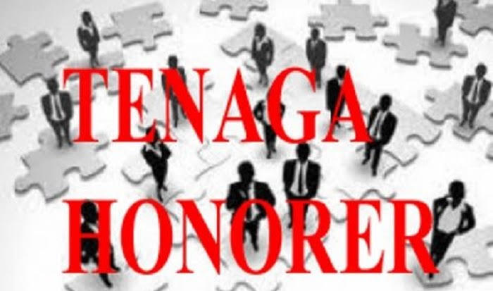 Penghapusan Tenaga Honorer, Begini Penjelasan Ketua Forum Honorer Banten