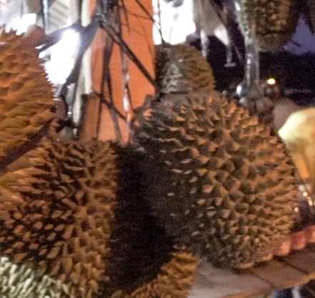 Sensasi Menikmati Durian Lezat Asli Kabupaten Lebak