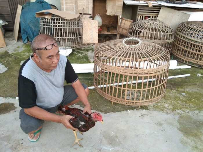 Berperawakan Kurus, Pencuri Ayam Bernilai Puluhan Juta di Tatira Tangerang Terditeksi CCTV