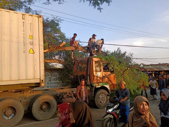 Truk Kontainer Muatan Pampers Tabrak Dahan Pohon