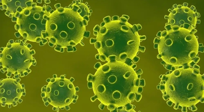 Mengenal Virus Corona dan Cara Pencegahanya