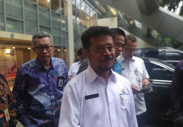 Mentan: Stok Bawang Putih Aman