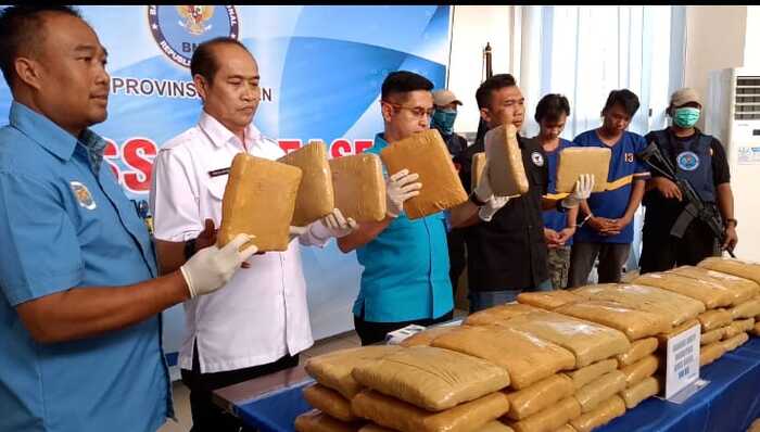 Dikemas Manisan Pala, Ganja 1 Kwintal Gagal Diselundupkan