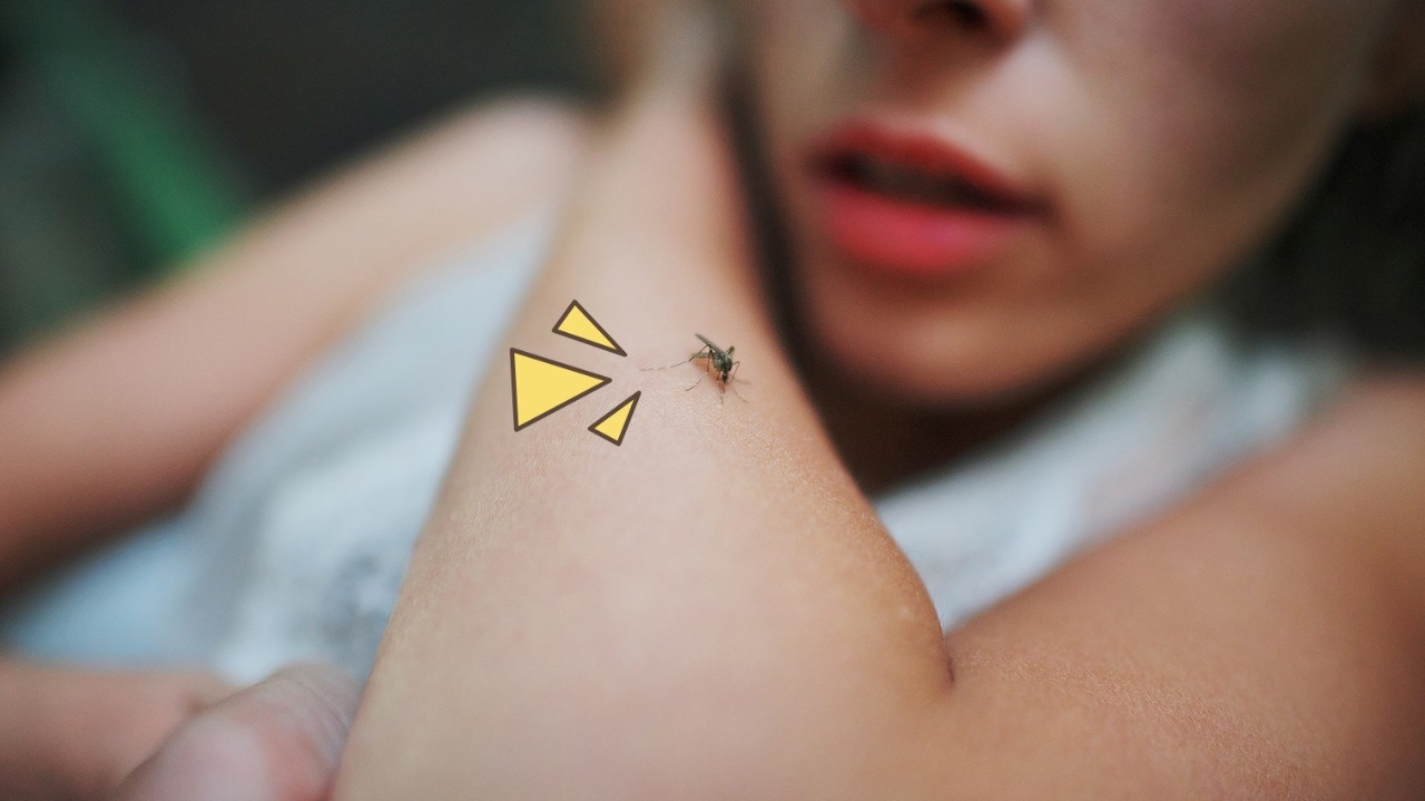 Waspada, Wabah Chikungunya Serang Warga Kota Tangerang