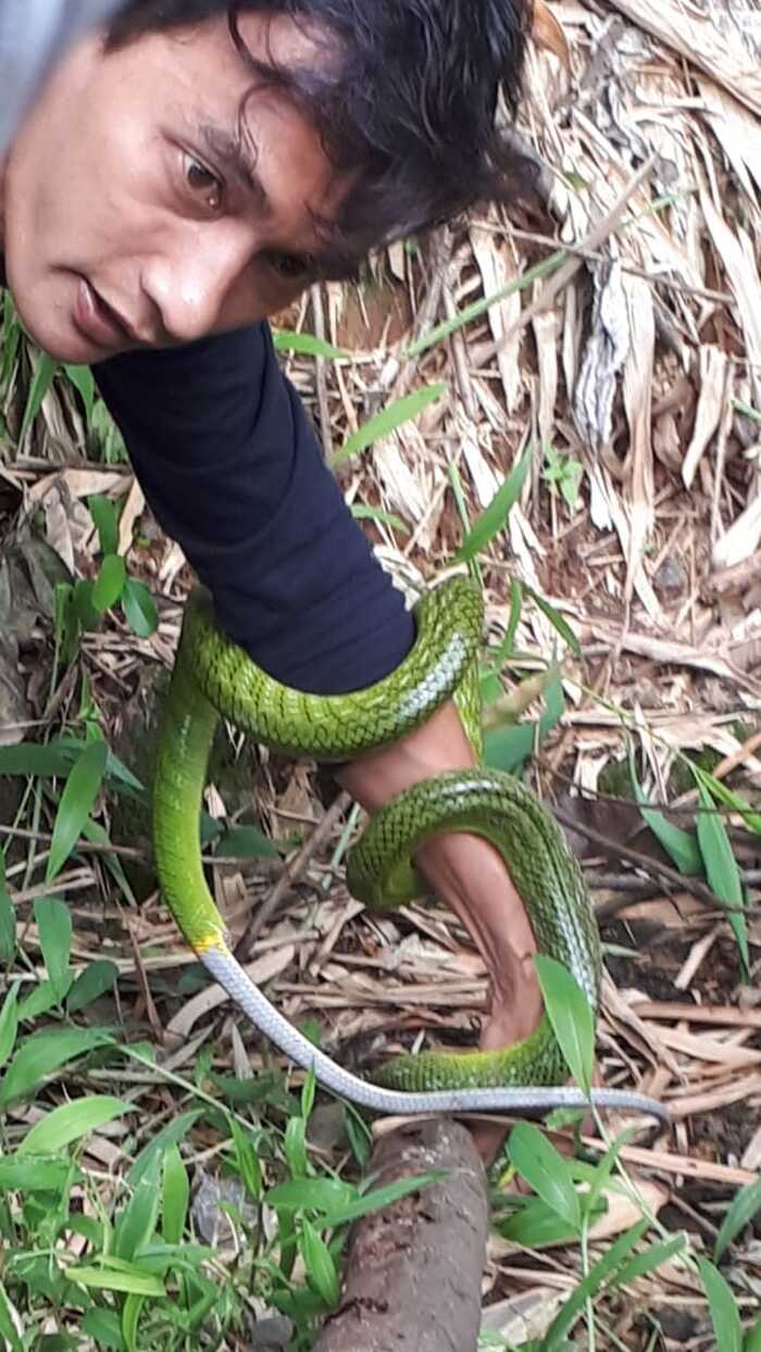 Warga Tangkap Ular di Trotoar Jalan