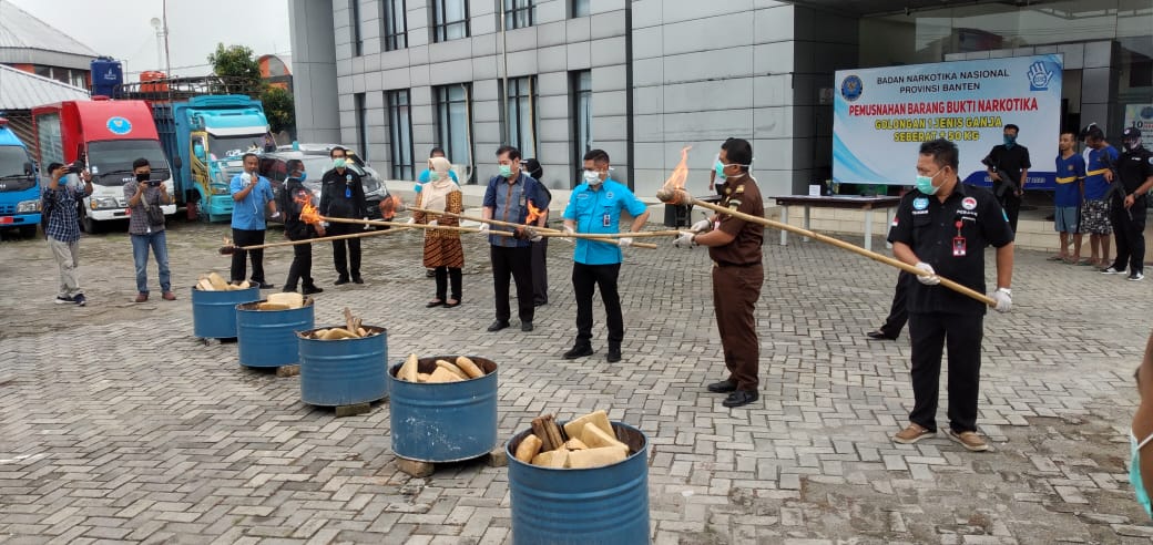 BBNP Banten Musnahkan 50 Kg Ganja Asal Aceh