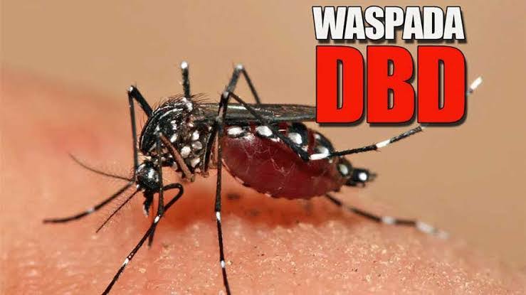 72 Warga Kabupaten Tangerang Menderita DBD