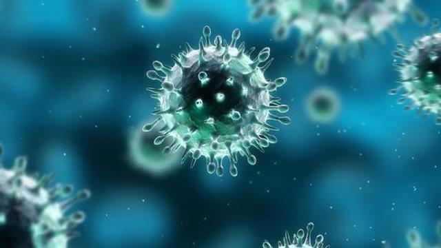 Tangani Virus Corona, Indonesia Bisa Tiru Korea Selatan