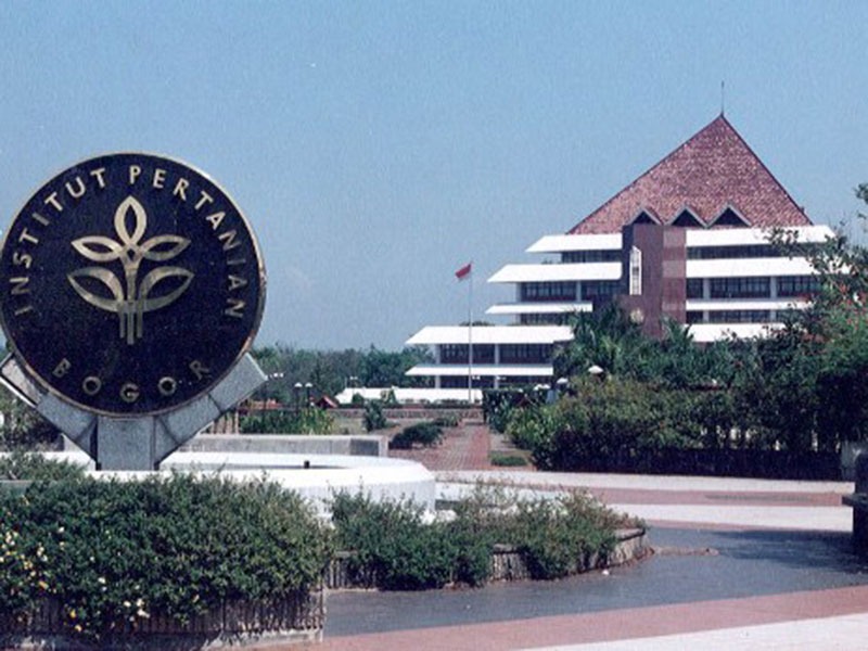 IPB University Masuk Kampus Top 100 Dunia