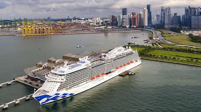 Puluhan Penumpang Kapal Pesiar Princess Cruise Positif Virus Corona