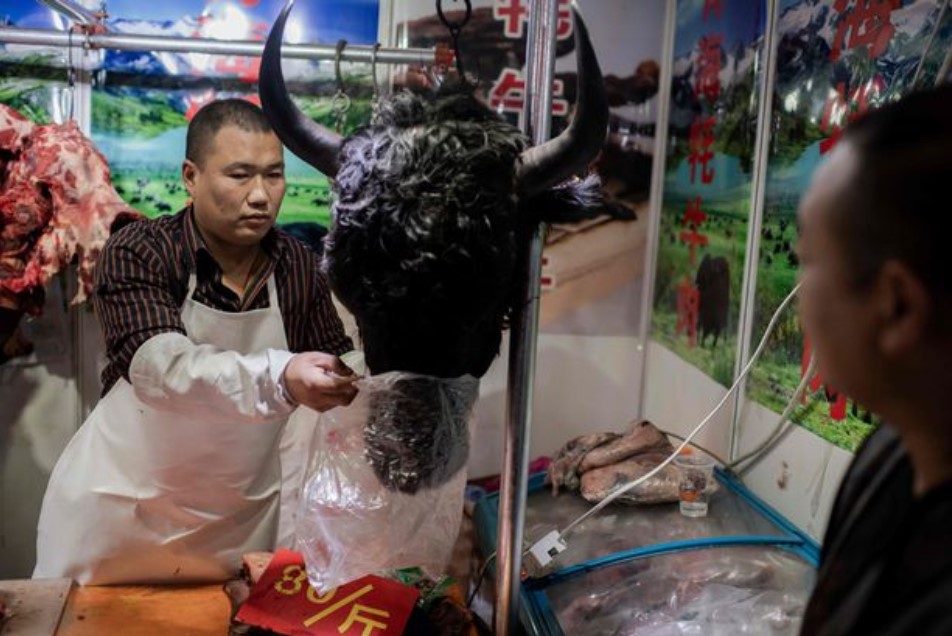 Diyakini Sumber Virus Corona, Pasar Hewan Liar di Wuhan Kembali Dibuka