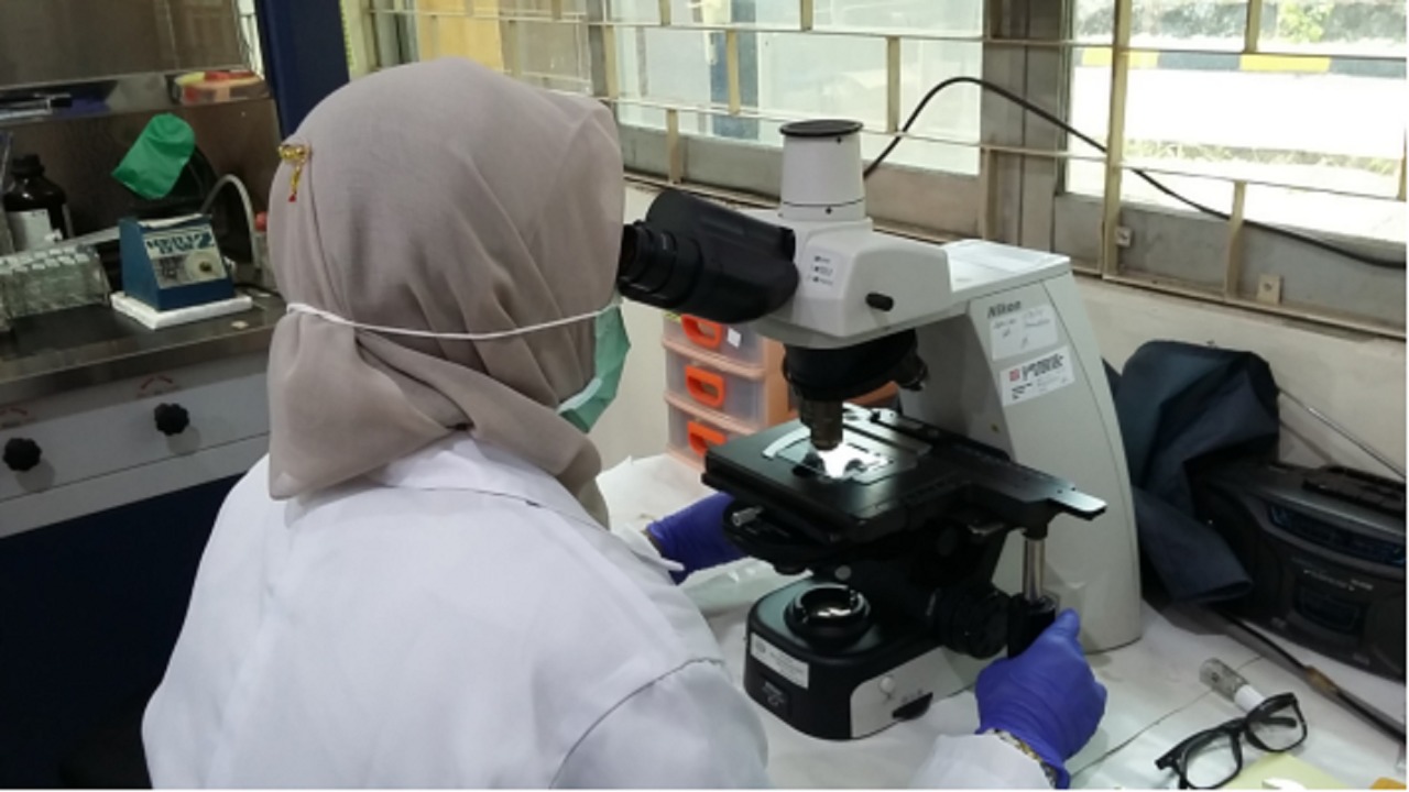 PTKMR Kembangkan Vaksin Antibodi untuk Tingkatkan Kekebalan Tubuh