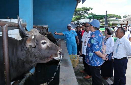 Januari-Februari Sub Sektor Peternakan Capai Rp1,7 Triliun