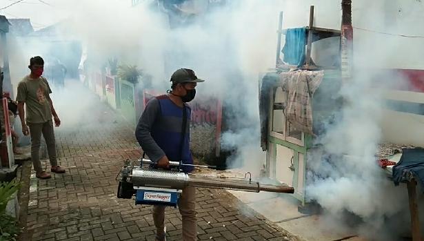 Warga Soal Foging Gratis se-Banten: Sumringah Ngarep Bebas Aedes Aegypti