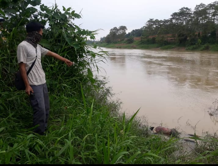 Mr X Ditemukan Mengambang di Sungai Ciujung