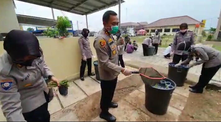 Program Ketahanan Pangan, Polres Serang Kembangkan Budidaya Sayuran dan Lele Jumbo