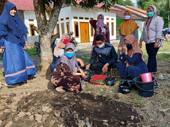 KWT Kelurahan Panggung Jati Tanam Sayuran di Pekarangan Rumah