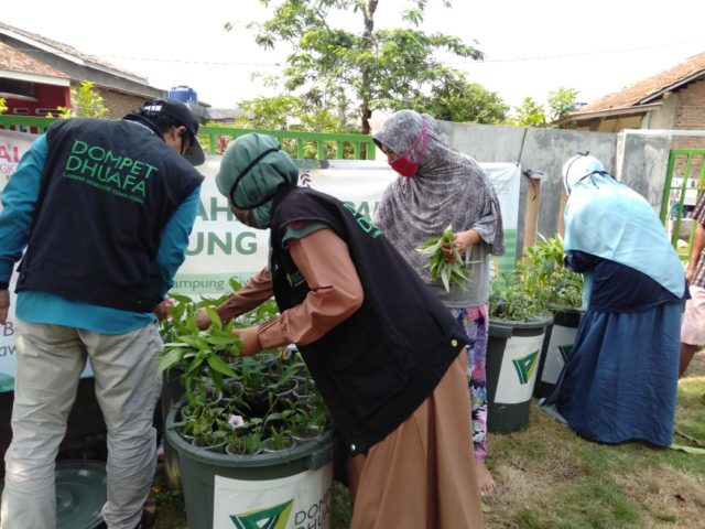Warga Kampung Ciwaru Panen Lele Ditengah Covid-19