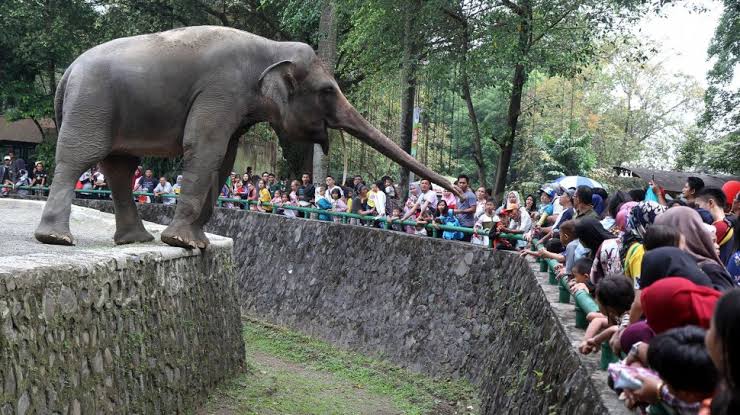Taman Margasatwa Ragunan Dibuka Lagi 20 Juni