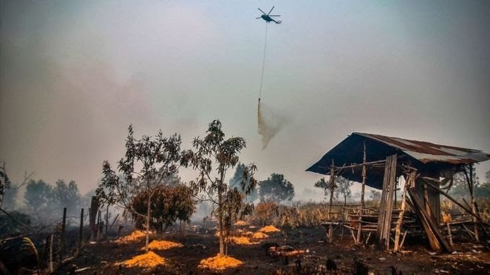 Indonesia Masuk Fase Kritis Karhutla Kedua Mulai Juni Hingga September