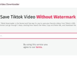 Tik2Tok! Alternatif Download Video Tiktok Tanpa Watermark