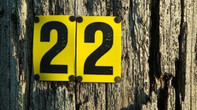 Apa Arti Angka 22 dalam Percintaan dan Bahasa Gaul